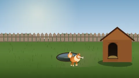Gemini 3.8 Flash coding benchmark animation preview