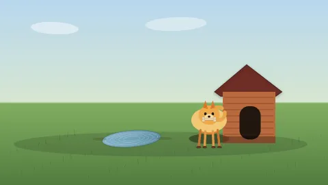 GPT-5.5 coding benchmark animation preview