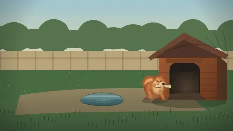 GPT-5.6 Sol coding benchmark animation preview